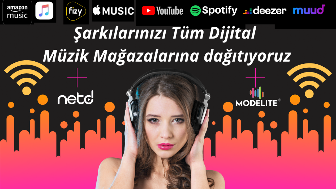 Dijital Müzik Platformları
